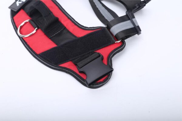 petcres-customized-pet-harness-red-buckle-view