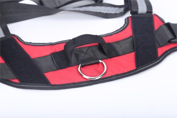 petcres-customized-pet-harness-red-ring-view