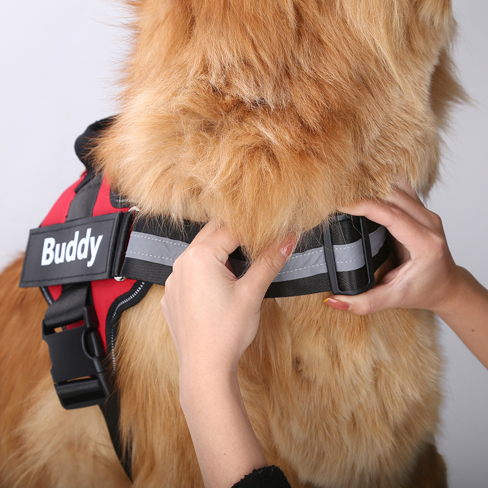 petcres-customized-pet-harness-dog-2